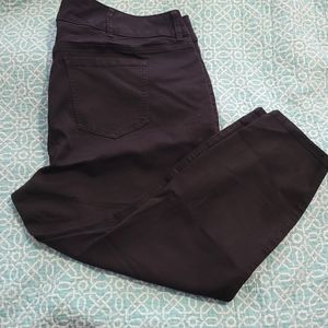 Torrid Jegging Size 24S